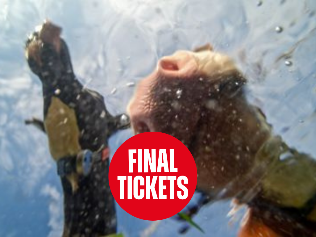 Prikkelarme vertoning