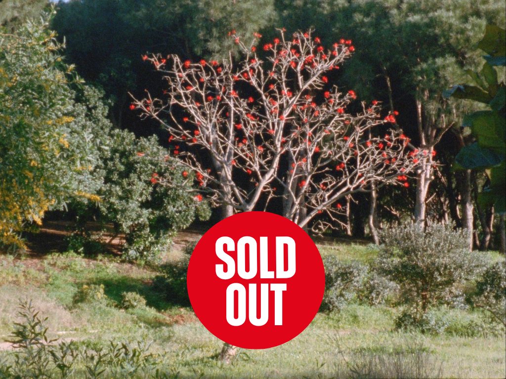 Other Skies: Global South Futurisms