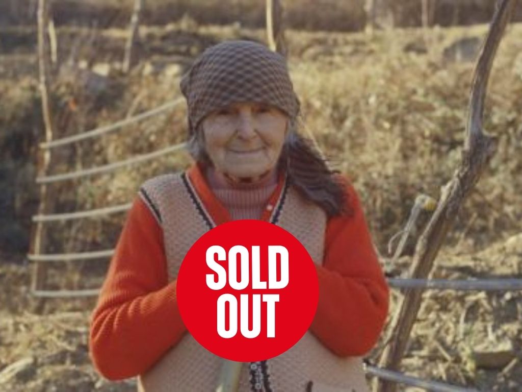 Film & Talk: Utopia & Dystopia (ism Radboud Reflects)