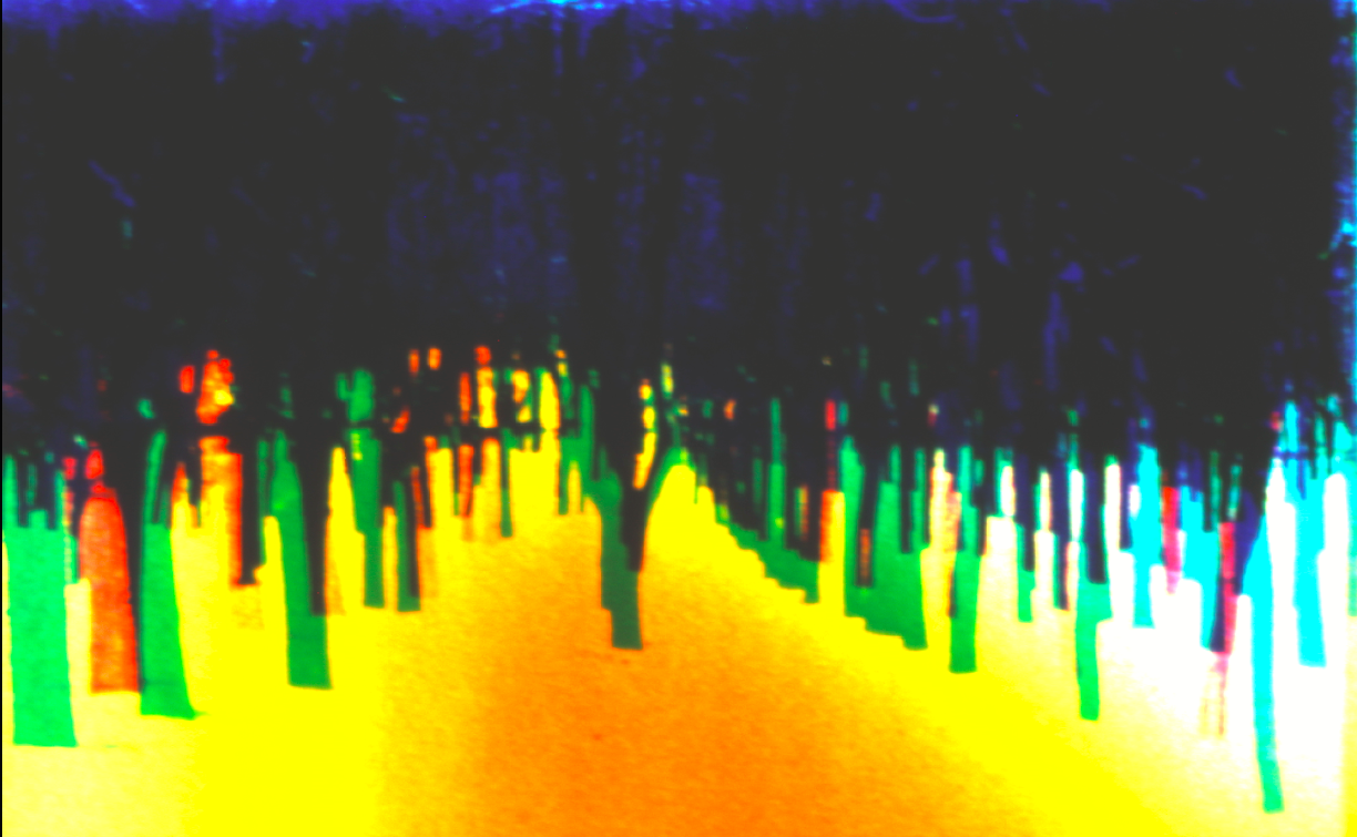 Expanded Cinema: Inside Outside Around