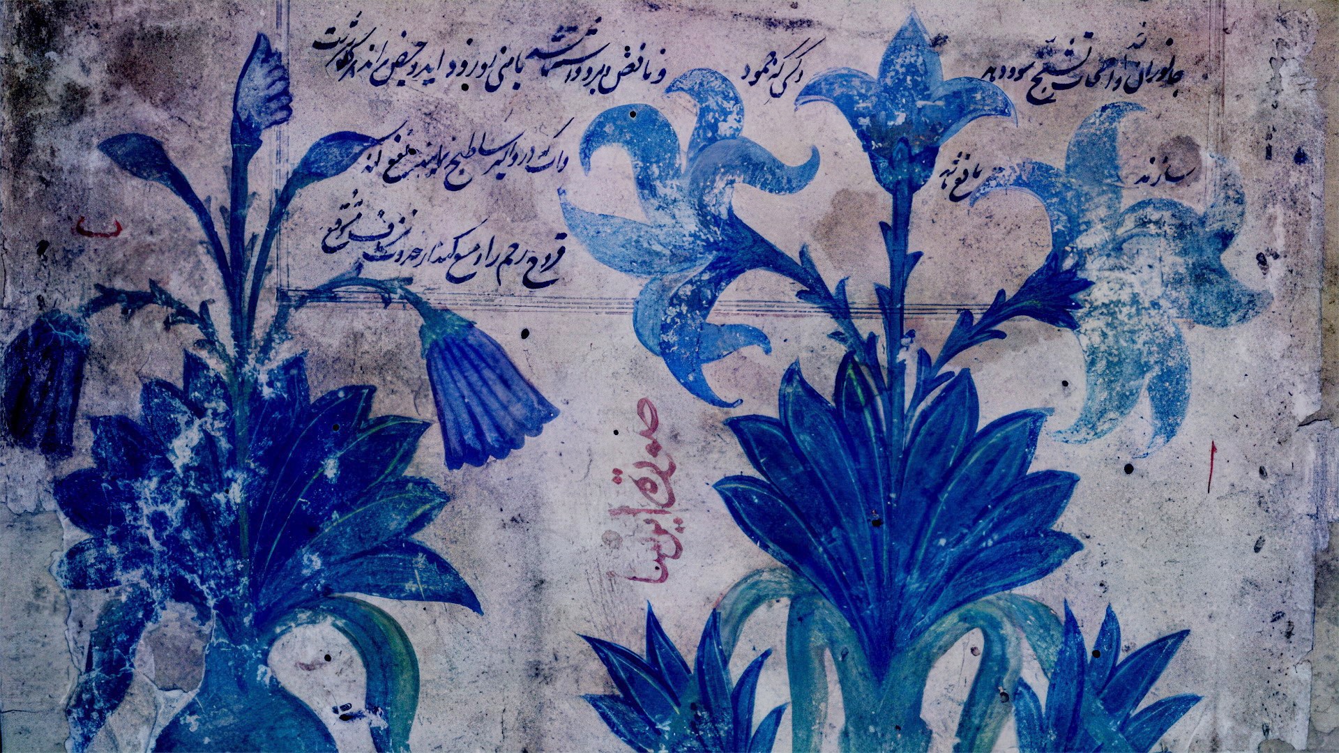 Daria’s Night Flowers