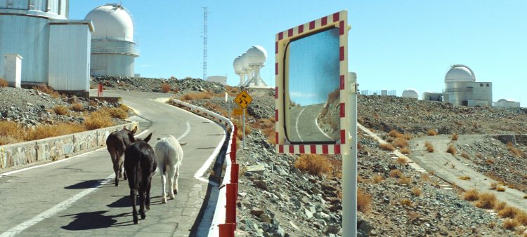 Perfectly a Strangeness