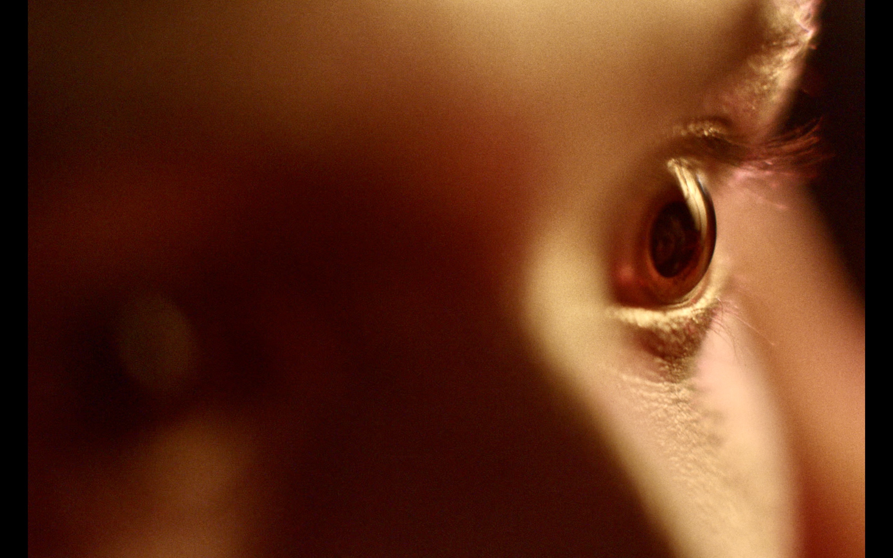 omschrijving