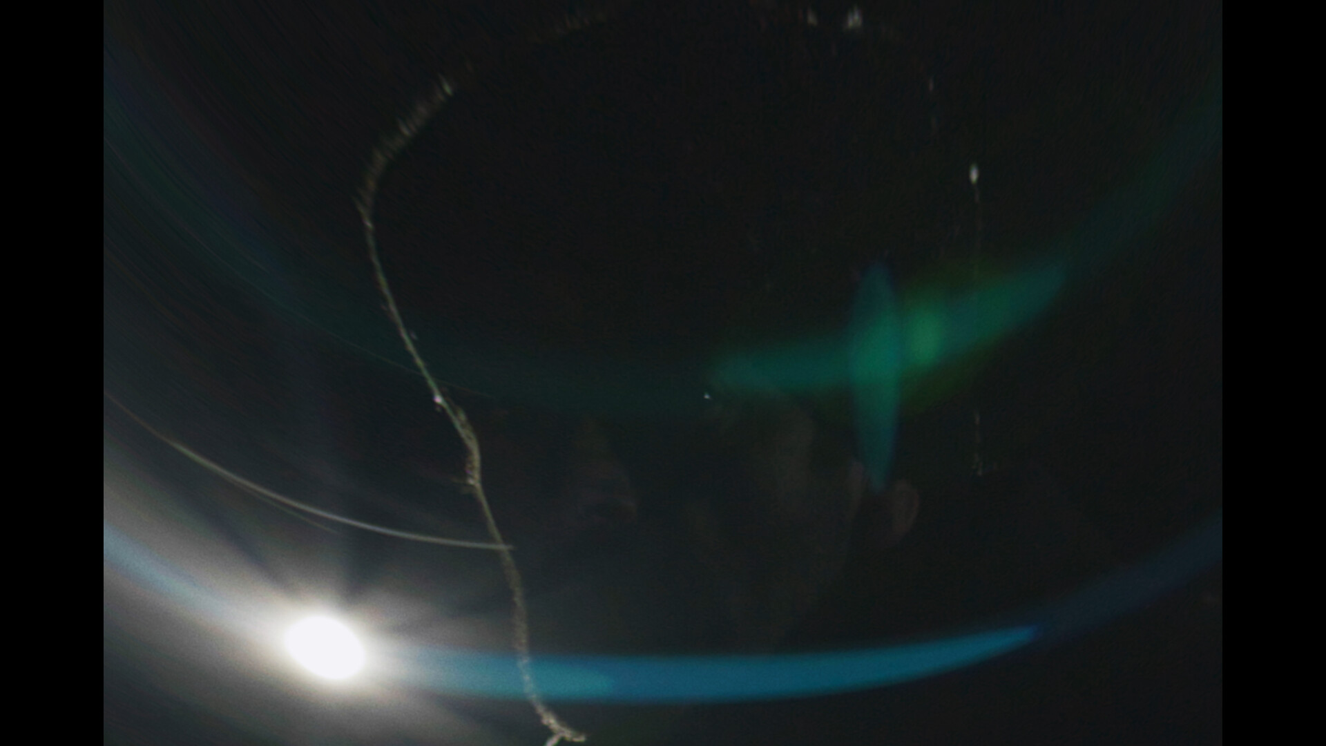 It Lives Under the Snow