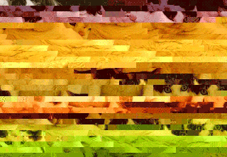 Purrflux
